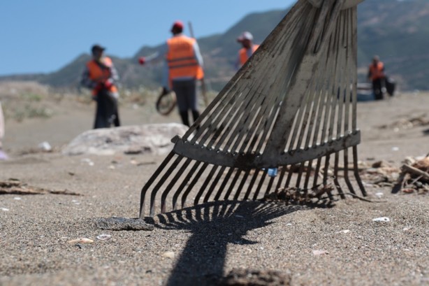 Petrol sızıntısı kirliliğe neden olmuştu! İmha ediliyor