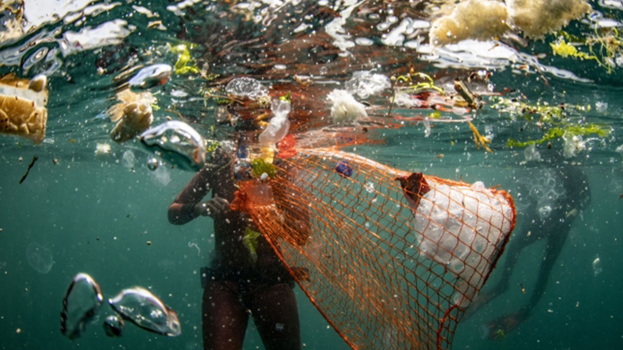 Foto - Petrol ve doğalgaz beklerken Türkiye'nin denizlerinden çıkan şeye bakın! Tamı tamına 245 bin ton...