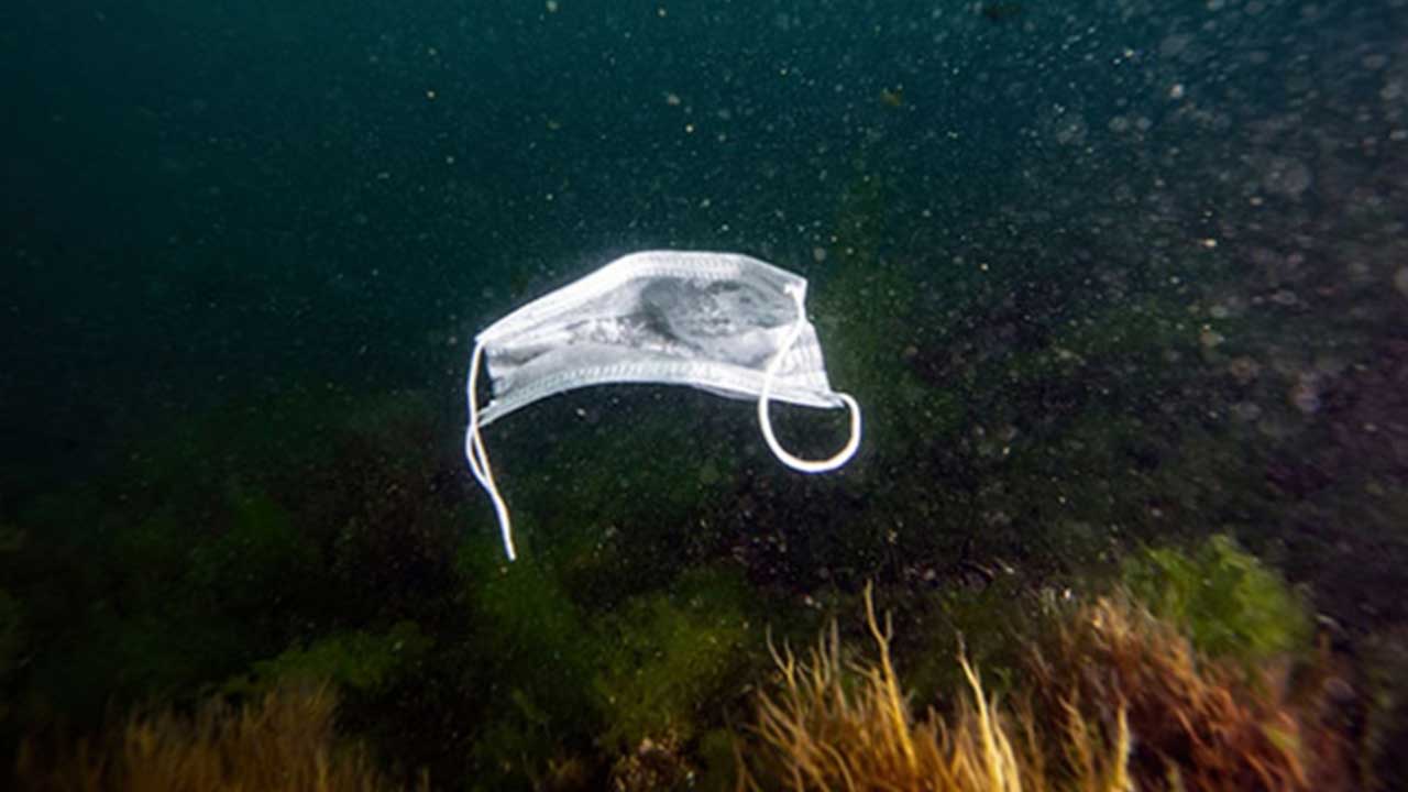 Foto - Petrol ve doğalgaz beklerken Türkiye'nin denizlerinden çıkan şeye bakın! Tamı tamına 245 bin ton...