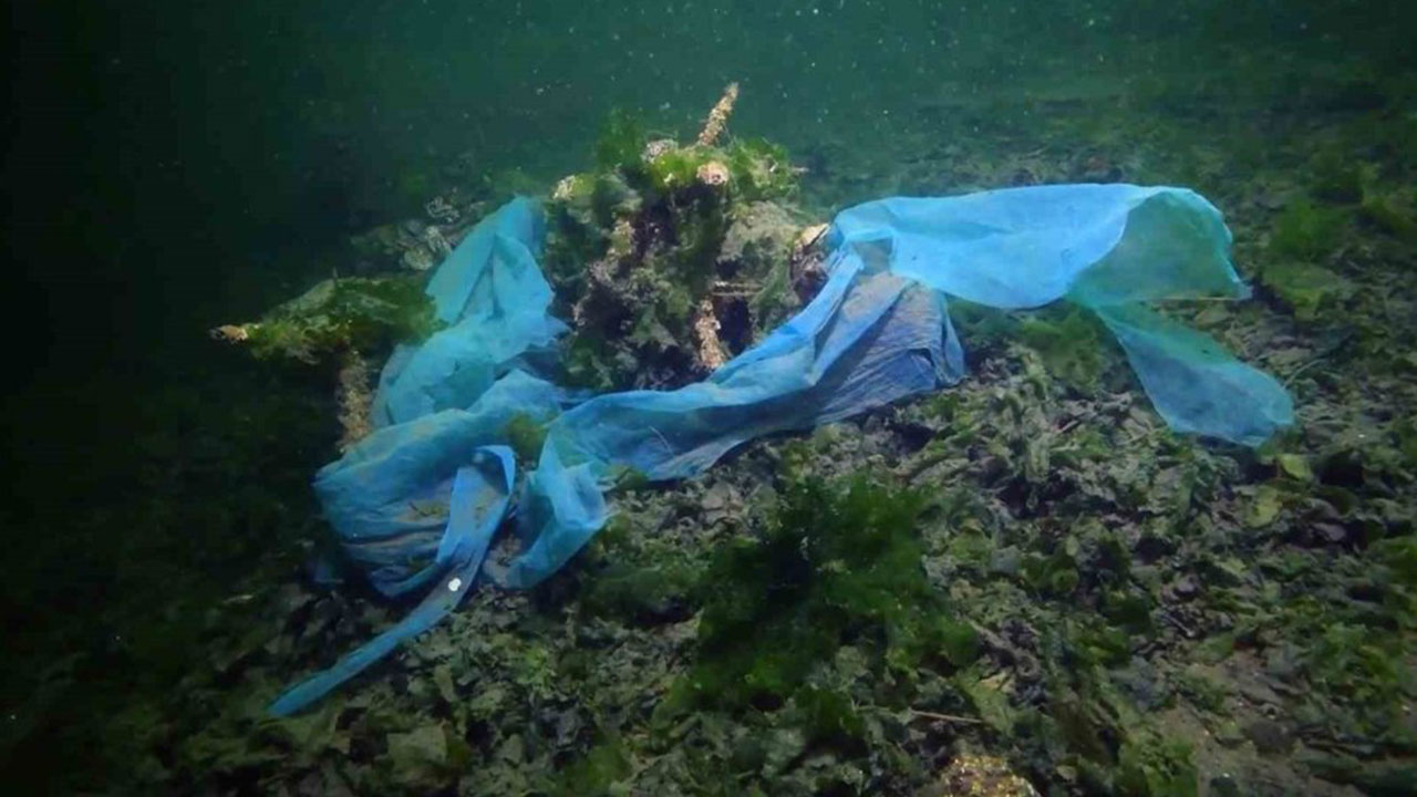 Petrol ve doğalgaz beklerken Türkiye'nin denizlerinden çıkan şeye bakın! Tamı tamına 245 bin ton...