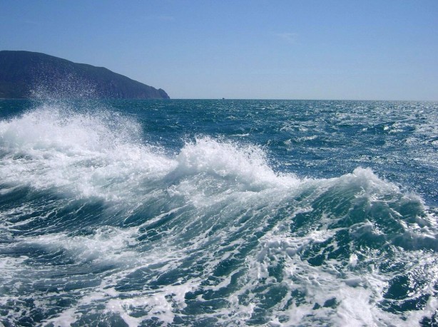 Foto - Petrol ve doğalgazı tahtından edecek rezerv! Türkiye resmen hazine buldu, Tamı tamına 851 milyon ton...