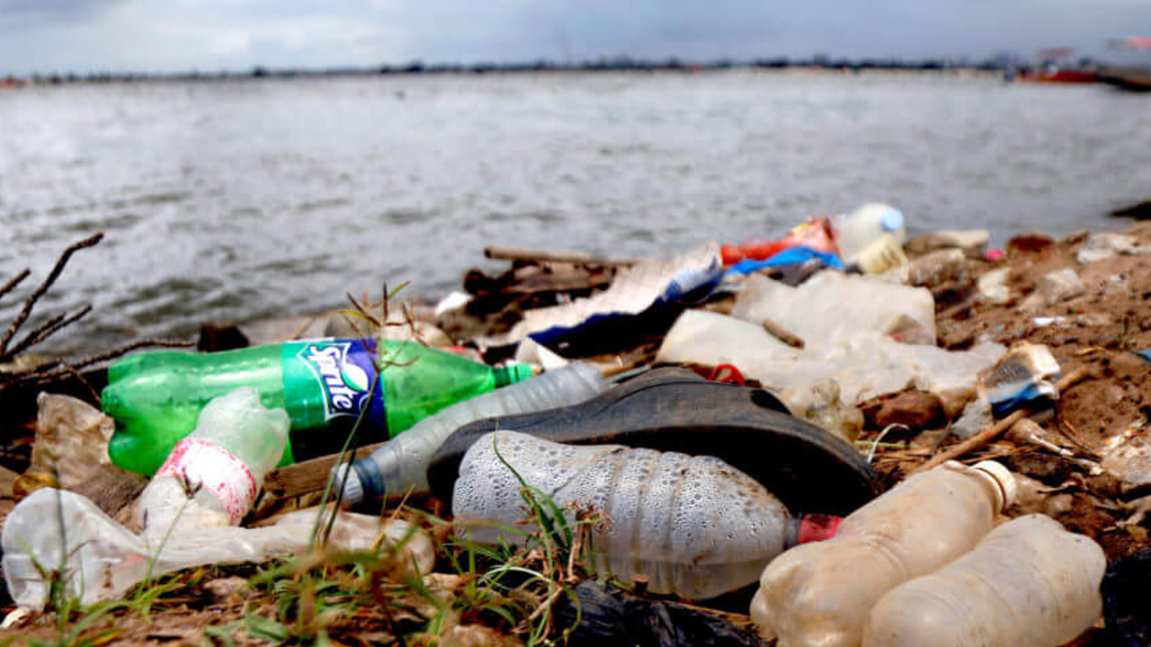 Petrol yerine nişasta devreye alın! O isimden ezber bozan analiz: O sözlerini duyan şaşkına döndü