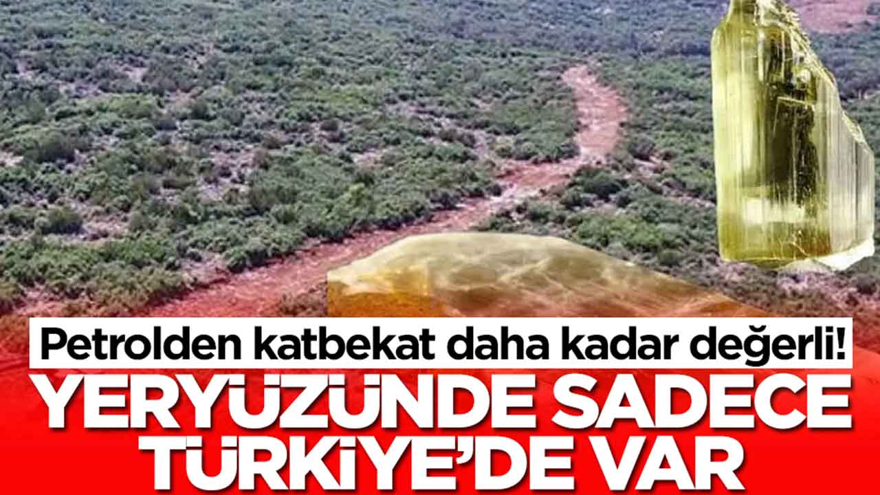 Petrolden katbekat daha kadar değerli: Yeryüzünde sadece Türkiye'de var