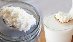 Foto - Peygamber danesi olarak biliniyor: Kalsiyum kaynağı, peynirden bile önce tüketilen şifa! Tüketenler uzun yaşıyor