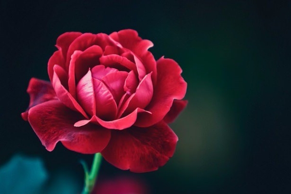 Foto - Peygamber Efendimiz (S.A.V)'in günlük yaşamı