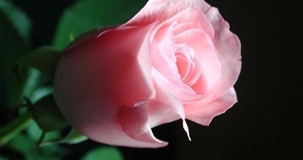 Foto - Peygamber Efendimiz (S.A.V)'in günlük yaşamı