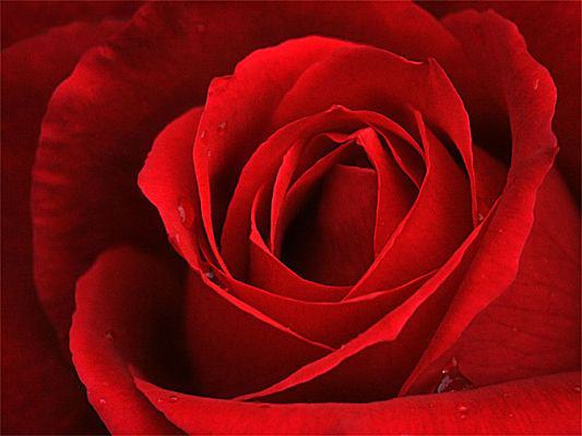 Foto - Peygamber Efendimiz'in 7 öğüdü