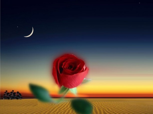 Peygamber Efendimiz'in 7 öğüdü