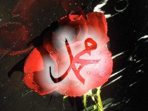 Foto - Peygamber Efendimiz'in 7 öğüdü