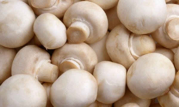 Foto - Peygamber Efendimizin tavsiye ettiği 18 yiyecek