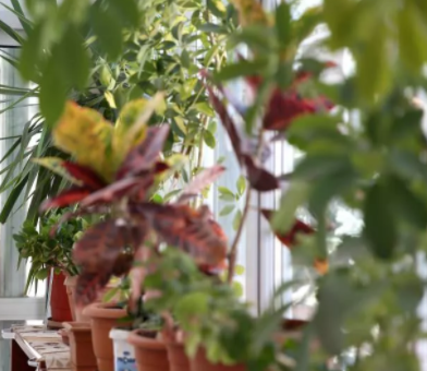 Foto - Peygamberimiz Hazreti Muhammed’in o anından etkilendi! İmamın camiye yaptıkları ilgi odağı oldu
