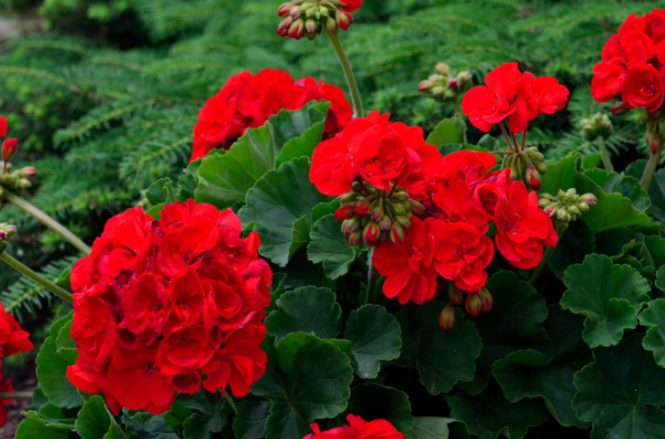 Foto - Peygamberimiz Hazreti Muhammed’in o anından etkilendi! İmamın camiye yaptıkları ilgi odağı oldu