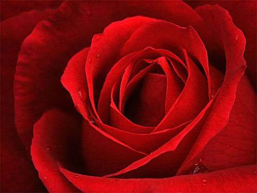 Foto - Peygamberimizin bir günü