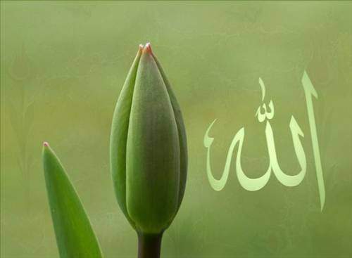 Foto - Peygamberimizin bir günü