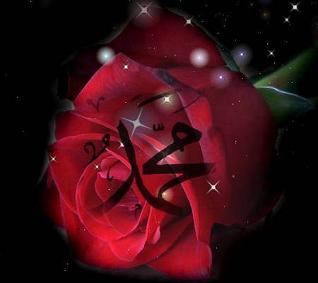 Foto - Peygamberimizin bir günü