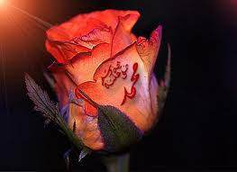 Foto - Peygamberimizin bir günü