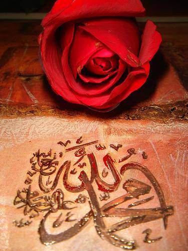 Foto - Peygamberimizin bir günü