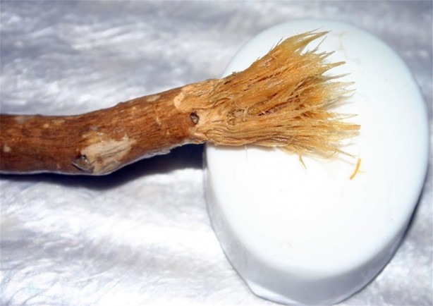 Foto - Peygamberimizin önerdiği misvağın faydaları