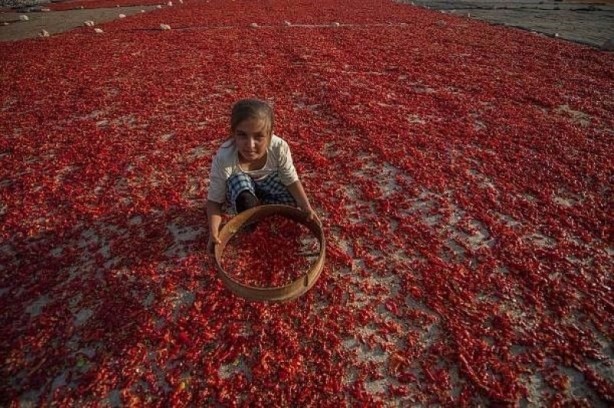 Foto - Peygamberler şehri Şanlıurfa'yı gezmek için 10 neden