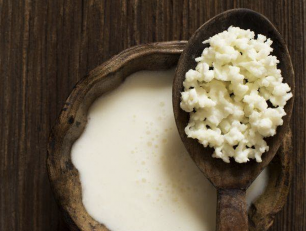 Foto - Peynir ve yoğurttan önce o vardı! Kalsiyum fışkırıyor, yiyen 100 yaşını garantiliyor!