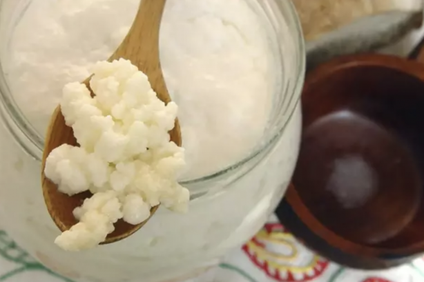 Foto - Peynir ve yoğurttan önce o vardı! Kalsiyum fışkırıyor, yiyen 100 yaşını garantiliyor!