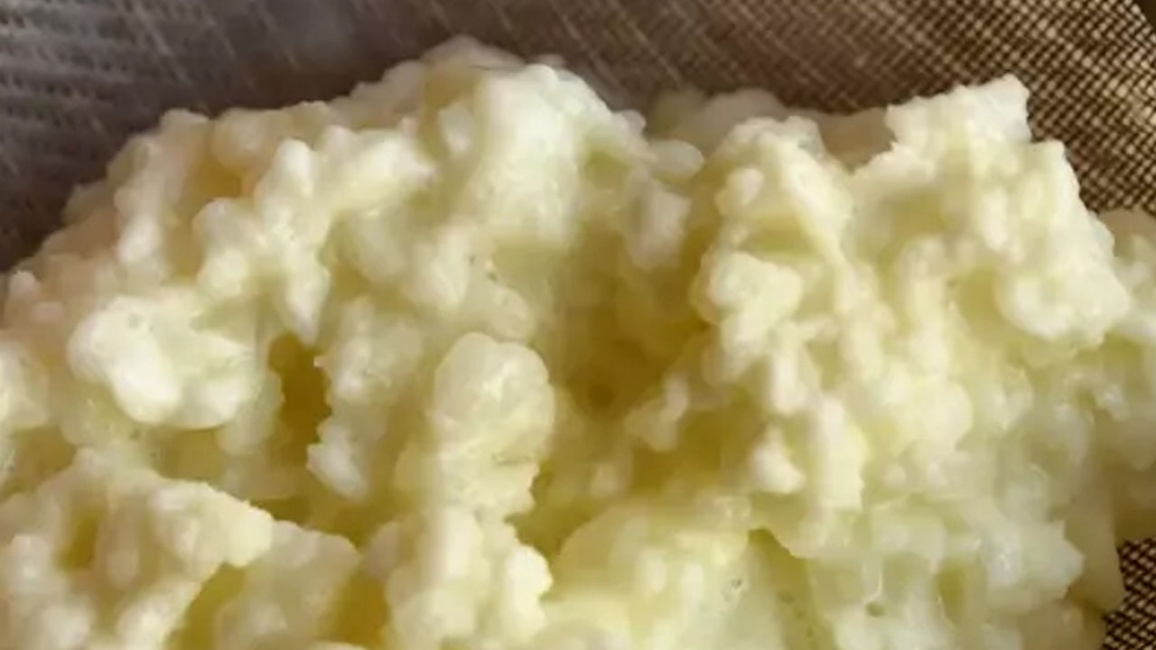 Peynirden ve yoğurttan bile önce tüketilen en güçlü kalsiyum deposu oymuş!