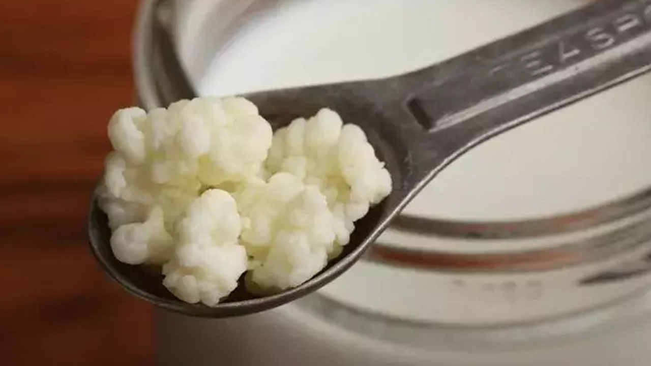 Foto - Peynirden ve yoğurttan bile önce tüketilen en güçlü kalsiyum deposu oymuş!