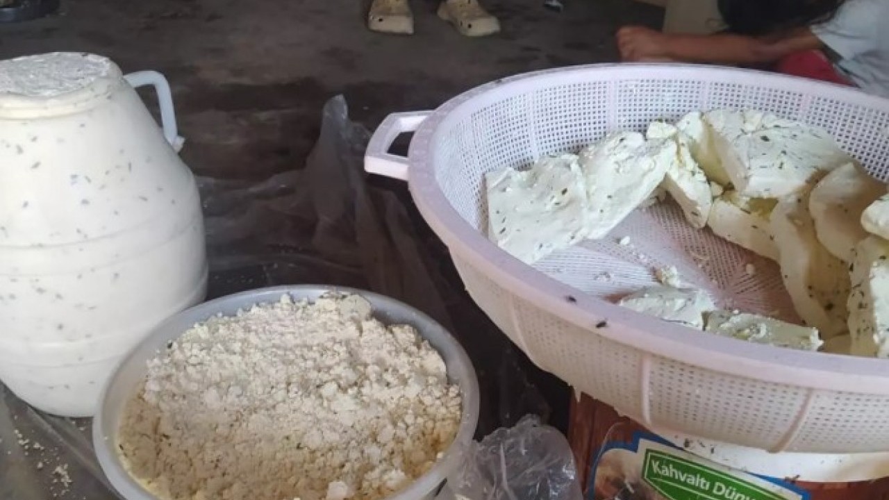 Foto - Peyniri 3 yıl bozulmadan tutan yöntem! Evde kolayca yapabilirsiniz!