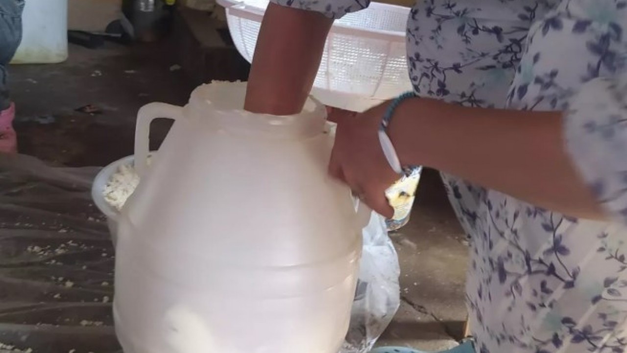 Foto - Peyniri 3 yıl bozulmadan tutan yöntem! Evde kolayca yapabilirsiniz!