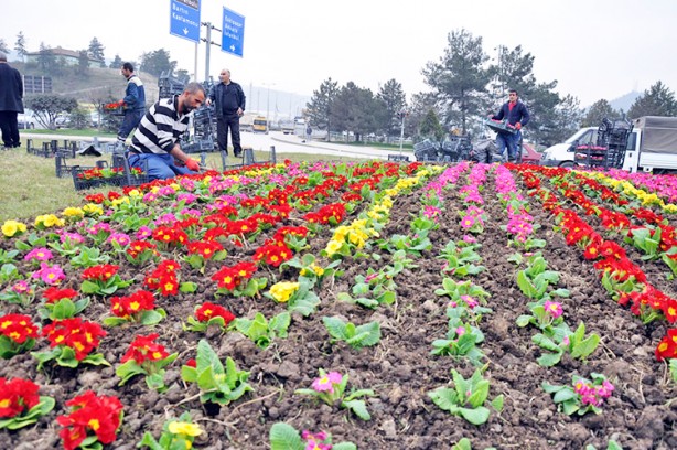 Foto - Peyzajlar ölüme bile sebep oluyor... Kent peyzajları felakete yol açabilir