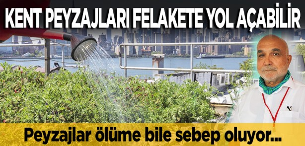 Peyzajlar ölüme bile sebep oluyor... Kent peyzajları felakete yol açabilir