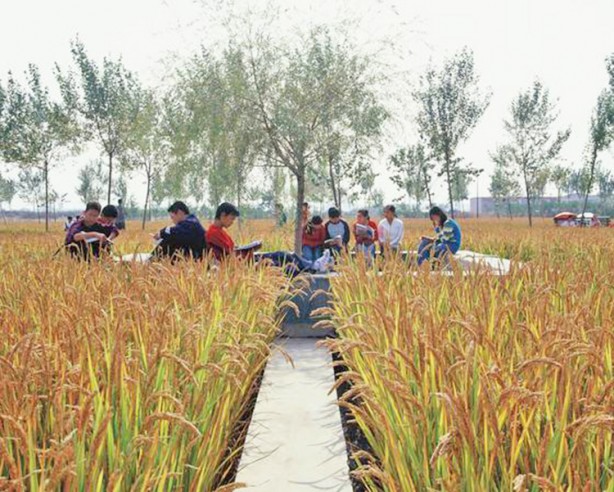 Foto - Peyzajlar ölüme bile sebep oluyor... Kent peyzajları felakete yol açabilir