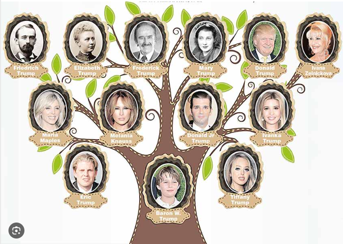 Foto - Pezevengin torunu ve o. çocuğundan ne beklenirdi ki!..