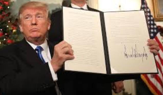 Foto - Pezevengin torunu ve o. çocuğundan ne beklenirdi ki!..