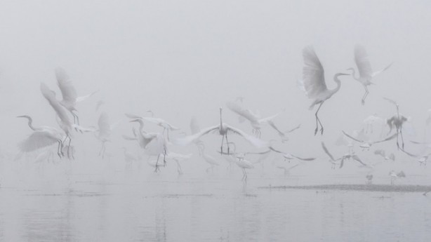 Foto - Photoshop değmemiş 50 muhteşem fotoğraf