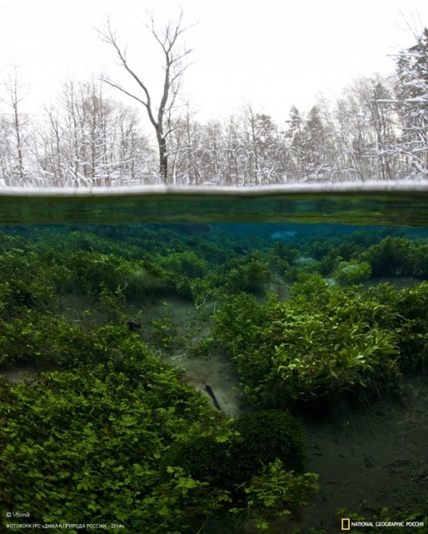 Foto - Photoshop değmemiş 50 muhteşem fotoğraf