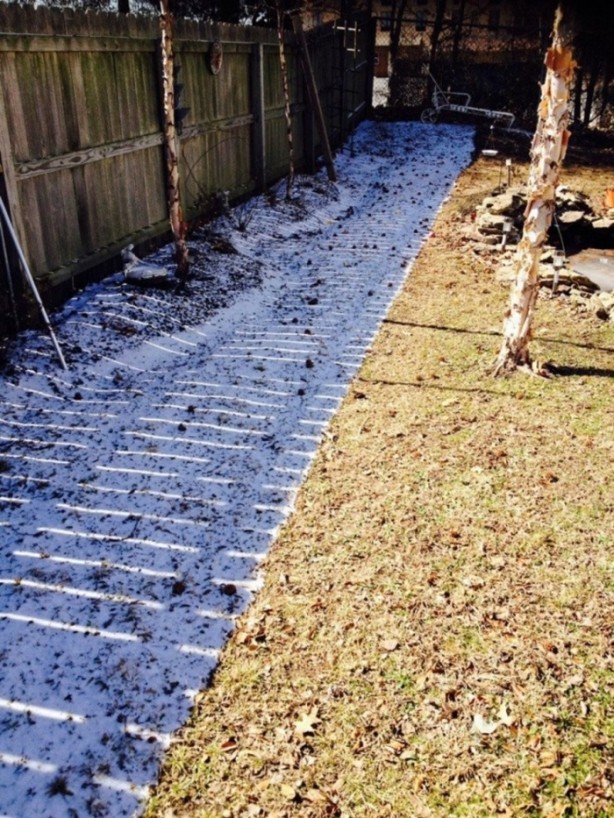 Foto - Photoshop kullanılmamış muazzam fotoğraflar