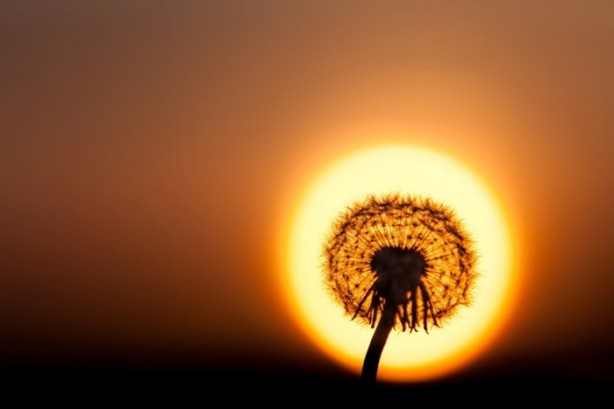 Foto - Photoshop olmayan inanılmaz fotoğraflar