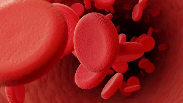 Foto - Pıhtılaşma riskini bitiren mucize: Kahvaltıda yiyenin damarları tıkanmıyor