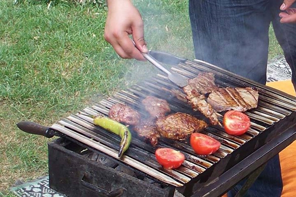 Foto - Piknik yapanlara kritik uyarı!