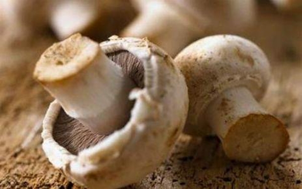 Foto - Piknik yapanlara kritik uyarı!