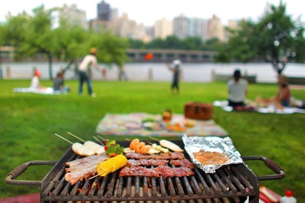  Piknik yapanlara kritik uyarı!