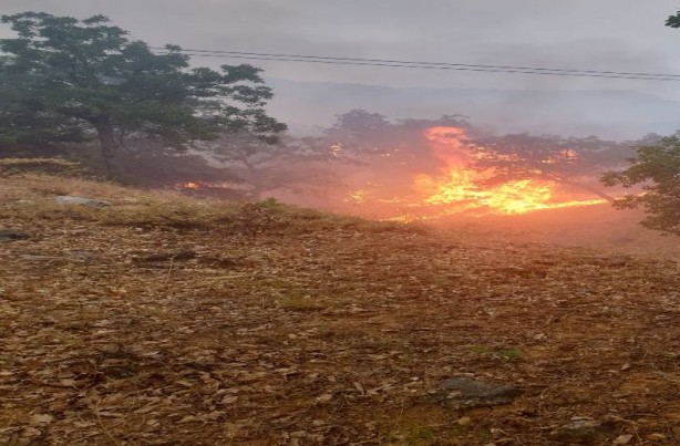 Foto - Piknikçilerin olduğu alana düşen yıldırım yangına neden oldu