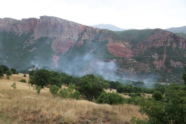 Foto - Piknikçilerin olduğu alana düşen yıldırım yangına neden oldu