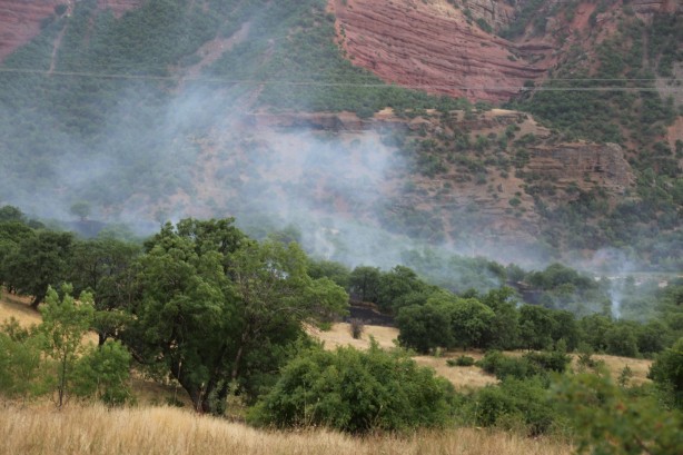 Foto - Piknikçilerin olduğu alana düşen yıldırım yangına neden oldu