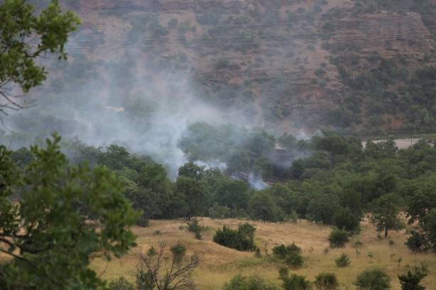Foto - Piknikçilerin olduğu alana düşen yıldırım yangına neden oldu
