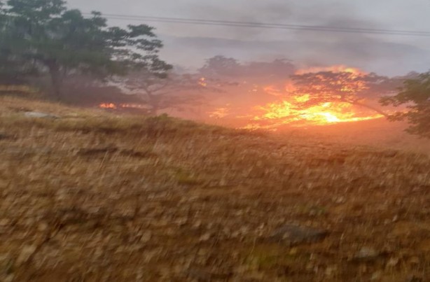 Foto - Piknikçilerin olduğu alana düşen yıldırım yangına neden oldu