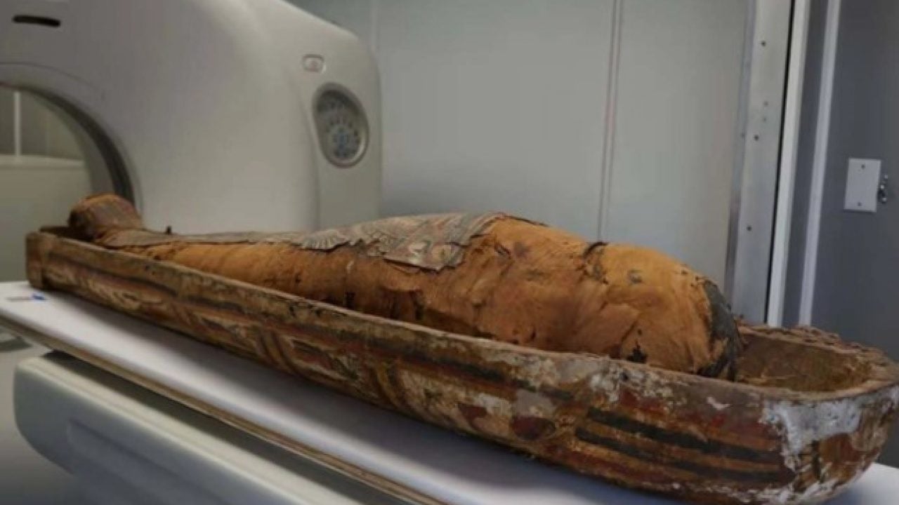 Foto - Piramitlerde şaşırtan keşif! 45 milyon yıllık timsah fosili bulundu