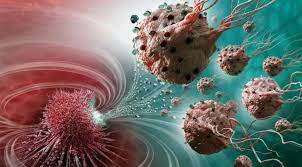 Foto - Pırasa vücuda reset atıyor! Dünyanın en favori besini: Uzun süre bozulmaması için ne yapmalıyız? Bunu yapın