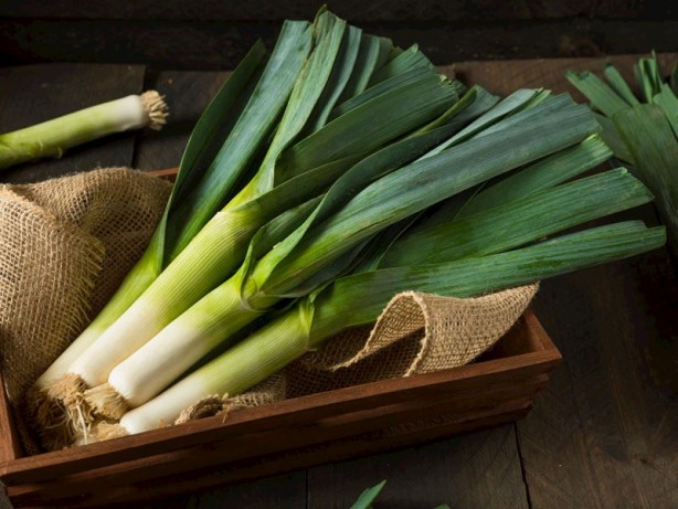 Pırasa vücuda reset atıyor! Dünyanın en favori besini: Uzun süre bozulmaması için ne yapmalıyız? Bunu yapın